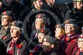 Photo 1411091211521D49175HaraldJoergens Remembrance Sunday at the Cenotaph in London 2014: Group B25 - Queen Alexandra's Royal Army Nursing Corps Association.
Press stand opposite the Foreign Office building, Whitehall, London SW1,
London,
Greater London,
United Kingdom,
on 09 November 2014 at 12:11, image #1789
