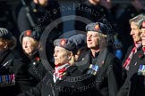 Photo 1411091211551D49183HaraldJoergens Remembrance Sunday at the Cenotaph in London 2014: Group B25 - Queen Alexandra's Royal Army Nursing Corps Association.
Press stand opposite the Foreign Office building, Whitehall, London SW1,
London,
Greater London,
United Kingdom,
on 09 November 2014 at 12:11, image #1794