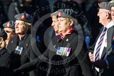 Photo 1411091211551D49186HaraldJoergens Remembrance Sunday at the Cenotaph in London 2014: Group B25 - Queen Alexandra's Royal Army Nursing Corps Association.
Press stand opposite the Foreign Office building, Whitehall, London SW1,
London,
Greater London,
United Kingdom,
on 09 November 2014 at 12:11, image #1796
