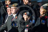 Photo 1411091211571D49190HaraldJoergens Remembrance Sunday at the Cenotaph in London 2014: Group B25 - Queen Alexandra's Royal Army Nursing Corps Association.
Press stand opposite the Foreign Office building, Whitehall, London SW1,
London,
Greater London,
United Kingdom,
on 09 November 2014 at 12:11, image #1798