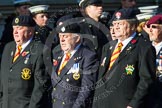 Remembrance Sunday at the Cenotaph in London 2014: Group B29 - Queen's Royal Hussars (The Queen's Own & Royal Irish).
Press stand opposite the Foreign Office building, Whitehall, London SW1,
London,
Greater London,
United Kingdom,
on 09 November 2014 at 12:12, image #1864