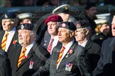 Remembrance Sunday at the Cenotaph in London 2014: Group B29 - Queen's Royal Hussars (The Queen's Own & Royal Irish).
Press stand opposite the Foreign Office building, Whitehall, London SW1,
London,
Greater London,
United Kingdom,
on 09 November 2014 at 12:13, image #1867