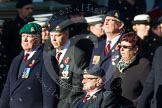 Remembrance Sunday at the Cenotaph in London 2014: Group B29 - Queen's Royal Hussars (The Queen's Own & Royal Irish).
Press stand opposite the Foreign Office building, Whitehall, London SW1,
London,
Greater London,
United Kingdom,
on 09 November 2014 at 12:13, image #1873