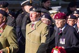 Photo 1411091213181D49374HaraldJoergens Remembrance Sunday at the Cenotaph in London 2014: Group B30 - 16/5th Queen's Royal Lancers.
Press stand opposite the Foreign Office building, Whitehall, London SW1,
London,
Greater London,
United Kingdom,
on 09 November 2014 at 12:13, image #1882