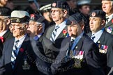 Remembrance Sunday at the Cenotaph in London 2014: Group B31 - 17/21 Lancers.
Press stand opposite the Foreign Office building, Whitehall, London SW1,
London,
Greater London,
United Kingdom,
on 09 November 2014 at 12:13, image #1915