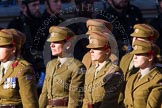 Remembrance Sunday at the Cenotaph in London 2014: Group M2 - First Aid Nursing Yeomanry (Princess Royal's Volunteers Corps).
Press stand opposite the Foreign Office building, Whitehall, London SW1,
London,
Greater London,
United Kingdom,
on 09 November 2014 at 12:15, image #1974