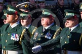 Remembrance Sunday at the Cenotaph in London 2014: Group M13 - London Ambulance Service NHS Trust.
Press stand opposite the Foreign Office building, Whitehall, London SW1,
London,
Greater London,
United Kingdom,
on 09 November 2014 at 12:16, image #2072