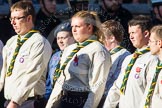 Remembrance Sunday at the Cenotaph in London 2014: Group M49 - Scout Association.
Press stand opposite the Foreign Office building, Whitehall, London SW1,
London,
Greater London,
United Kingdom,
on 09 November 2014 at 12:21, image #2310