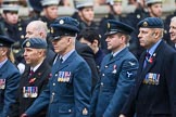 Remembrance Sunday at the Cenotaph 2015: Group C16, RAFSE(s) Assoc (New for 2015).
Cenotaph, Whitehall, London SW1,
London,
Greater London,
United Kingdom,
on 08 November 2015 at 11:49, image #512