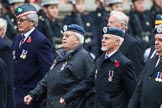 Remembrance Sunday at the Cenotaph 2015: Group C22, Federation of Royal Air Force Apprentice & Boy Entrant Associations.
Cenotaph, Whitehall, London SW1,
London,
Greater London,
United Kingdom,
on 08 November 2015 at 11:50, image #549