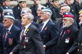 Remembrance Sunday at the Cenotaph 2015: Group C22, Federation of Royal Air Force Apprentice & Boy Entrant Associations.
Cenotaph, Whitehall, London SW1,
London,
Greater London,
United Kingdom,
on 08 November 2015 at 11:50, image #553