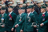 Remembrance Sunday at the Cenotaph 2015: Group A1, 1LI Association.
Cenotaph, Whitehall, London SW1,
London,
Greater London,
United Kingdom,
on 08 November 2015 at 12:07, image #1143