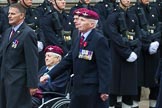 Remembrance Sunday at the Cenotaph 2015: Group A3, Parachute Regimental Association.
Cenotaph, Whitehall, London SW1,
London,
Greater London,
United Kingdom,
on 08 November 2015 at 12:08, image #1183