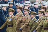 Remembrance Sunday at the Cenotaph 2015: Group M3, First Aid Nursing Yeomanry (Princess Royal's Volunteers Corps).
Cenotaph, Whitehall, London SW1,
London,
Greater London,
United Kingdom,
on 08 November 2015 at 12:14, image #1435