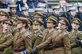 Remembrance Sunday at the Cenotaph 2015: Group M3, First Aid Nursing Yeomanry (Princess Royal's Volunteers Corps).
Cenotaph, Whitehall, London SW1,
London,
Greater London,
United Kingdom,
on 08 November 2015 at 12:14, image #1437