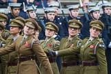 Remembrance Sunday at the Cenotaph 2015: Group M3, First Aid Nursing Yeomanry (Princess Royal's Volunteers Corps).
Cenotaph, Whitehall, London SW1,
London,
Greater London,
United Kingdom,
on 08 November 2015 at 12:14, image #1438