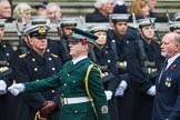 Remembrance Sunday at the Cenotaph 2015: Group M13, London Ambulance Service NHS Trust.
Cenotaph, Whitehall, London SW1,
London,
Greater London,
United Kingdom,
on 08 November 2015 at 12:16, image #1495