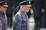 Remembrance Sunday at the Cenotaph 2015: General Sir Nicholas Carter, Chief of the General Staff , and Air Chief Marshal Sir Andrew Pulford, Chief of the Air Staff , after laying their wreaths at the Cenotaph. Image #271, 08 November 2015 11:13 Whitehall, London, UK