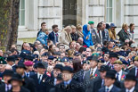 Remembrance Sunday at the Cenotaph 2015: Spectators on the northern side of Whitehall watching the veterans waiting for the begin of the March Past. Image #348, 08 November 2015 11:28 Whitehall, London, UK