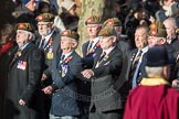 A15 The King's Own Royal Border Regimen