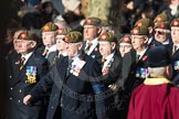 A15 The King's Own Royal Border Regimen