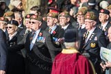 A15 The King's Own Royal Border Regimen