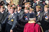 A15 The King's Own Royal Border Regimen
