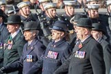 B17 Royal Army Veterinary Corps & Royal Army Dental Corps
