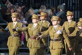 D12 First Aid Nursing Yeomanry (Princess Royal's Volunteers Corps)