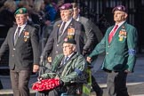 F16 Memorable Order of Tin Hats