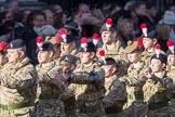 March Past, Remembrance Sunday at the Cenotaph 2016: M32 Army and combined Cadet Force.
Cenotaph, Whitehall, London SW1,
London,
Greater London,
United Kingdom,
on 13 November 2016 at 13:18, image #2823