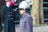 March Past, Remembrance Sunday at the Cenotaph 2016.
Cenotaph, Whitehall, London SW1,
London,
Greater London,
United Kingdom,
on 13 November 2016 at 12:24, image #326