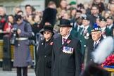 March Past, Remembrance Sunday at the Cenotaph 2016.
Cenotaph, Whitehall, London SW1,
London,
Greater London,
United Kingdom,
on 13 November 2016 at 12:25, image #327