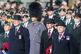 March Past, Remembrance Sunday at the Cenotaph 2016.
Cenotaph, Whitehall, London SW1,
London,
Greater London,
United Kingdom,
on 13 November 2016 at 12:25, image #329
