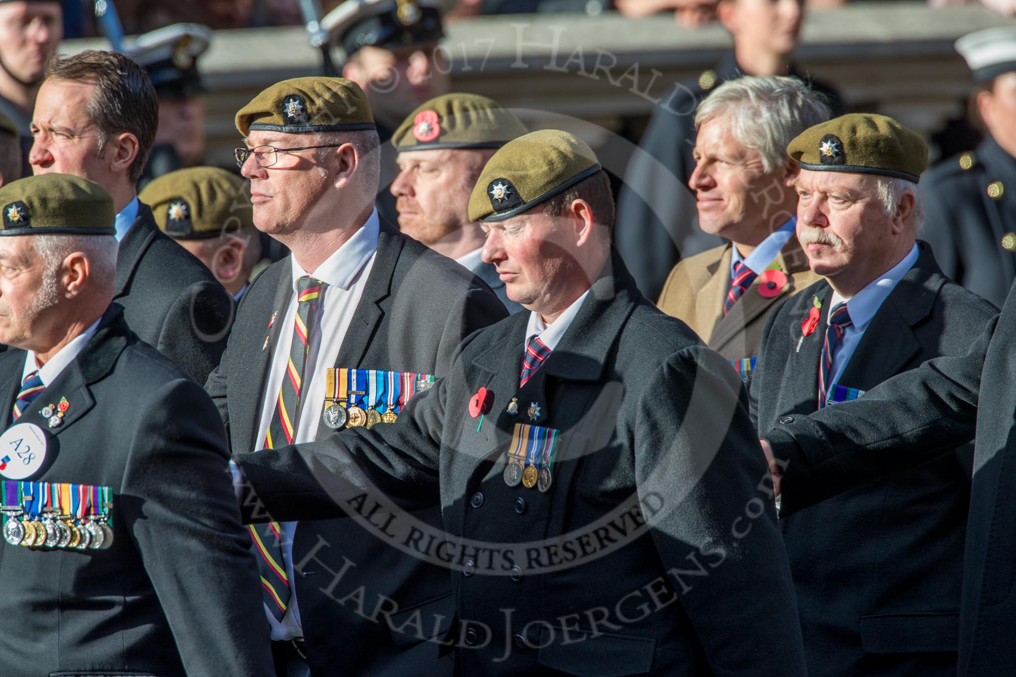 The Royal Anglian Regiment (Group A28, 21 members) during the Royal British Legion March Past on Remembrance Sunday at the Cenotaph, Whitehall, Westminster, London, 11 November 2018, 12:01.