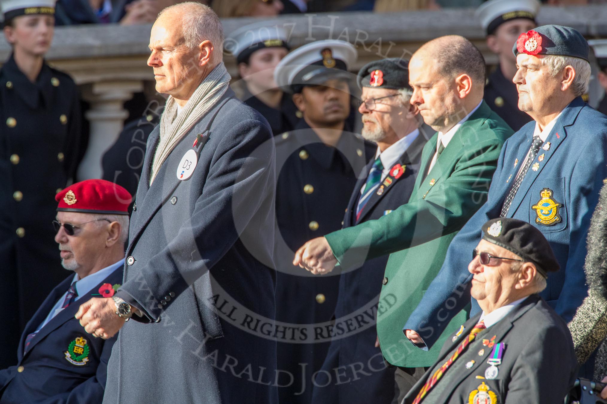 Stoll (Group D3, 18 members) during the Royal British Legion March Past on Remembrance Sunday at the Cenotaph, Whitehall, Westminster, London, 11 November 2018, 12:20.