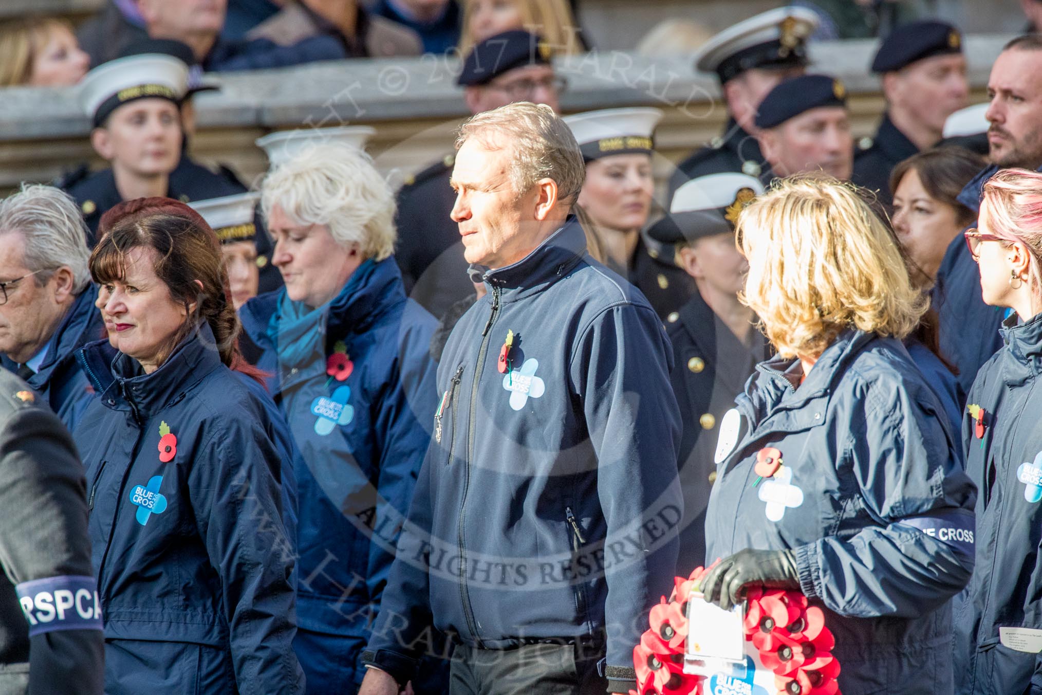 Blue Cross (Group M20, 18 members) during the Royal British Legion March Past on Remembrance Sunday at the Cenotaph, Whitehall, Westminster, London, 11 November 2018, 12:27.