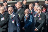 Fleet Air Arm Armourers Association  (Group E6, 27 members) during the Royal British Legion March Past on Remembrance Sunday at the Cenotaph, Whitehall, Westminster, London, 11 November 2018, 11:42.