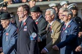 Fleet Air Arm Officers' Association  (Group E11, 22 members) during the Royal British Legion March Past on Remembrance Sunday at the Cenotaph, Whitehall, Westminster, London, 11 November 2018, 11:43.