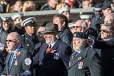 Fleet Air Arm Safety Equipment & Survival Association  (Group E14, 22 members) during the Royal British Legion March Past on Remembrance Sunday at the Cenotaph, Whitehall, Westminster, London, 11 November 2018, 11:43.