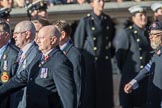 HMS Argonaut Association  (Group E19, 29 members) and HMS Ganges Association  (Group E20, 30 members) during the Royal British Legion March Past on Remembrance Sunday at the Cenotaph, Whitehall, Westminster, London, 11 November 2018, 11:44.