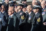 HMS Illustrious Association  (Group E22, 45 members) during the Royal British Legion March Past on Remembrance Sunday at the Cenotaph, Whitehall, Westminster, London, 11 November 2018, 11:44.