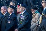 Royal Naval Communications Association  (RNCA) (Group E34, 21 members) during the Royal British Legion March Past on Remembrance Sunday at the Cenotaph, Whitehall, Westminster, London, 11 November 2018, 11:45.