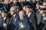 Broadsword Association  (Group E40, 32 members) during the Royal British Legion March Past on Remembrance Sunday at the Cenotaph, Whitehall, Westminster, London, 11 November 2018, 11:46.