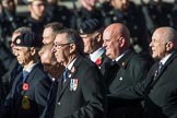 County Class Destroyer (Group E43, 30 members)  during the Royal British Legion March Past on Remembrance Sunday at the Cenotaph, Whitehall, Westminster, London, 11 November 2018, 11:47.