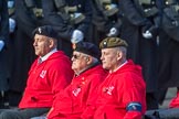 British Ex-Services Wheelchair Sports Association  (Group AA2, 14 members) during the Royal British Legion March Past on Remembrance Sunday at the Cenotaph, Whitehall, Westminster, London, 11 November 2018, 11:48.