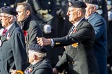 National Service Veterans Alliance (Group F8, 19 members) during the Royal British Legion March Past on Remembrance Sunday at the Cenotaph, Whitehall, Westminster, London, 11 November 2018, 11:51.