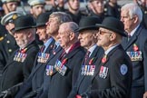 The Queen's Body Guard of the Yeomen of the Guard (Group F10, 15 members) during the Royal British Legion March Past on Remembrance Sunday at the Cenotaph, Whitehall, Westminster, London, 11 November 2018, 11:51.