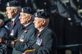 The Queen's Body Guard of the Yeomen of the Guard (Group F10, 15 members) during the Royal British Legion March Past on Remembrance Sunday at the Cenotaph, Whitehall, Westminster, London, 11 November 2018, 11:51.