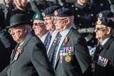 The Coronation Intake, Royal Military Academy Sandhurst (Group F11, 11 members) during the Royal British Legion March Past on Remembrance Sunday at the Cenotaph, Whitehall, Westminster, London, 11 November 2018, 11:51.